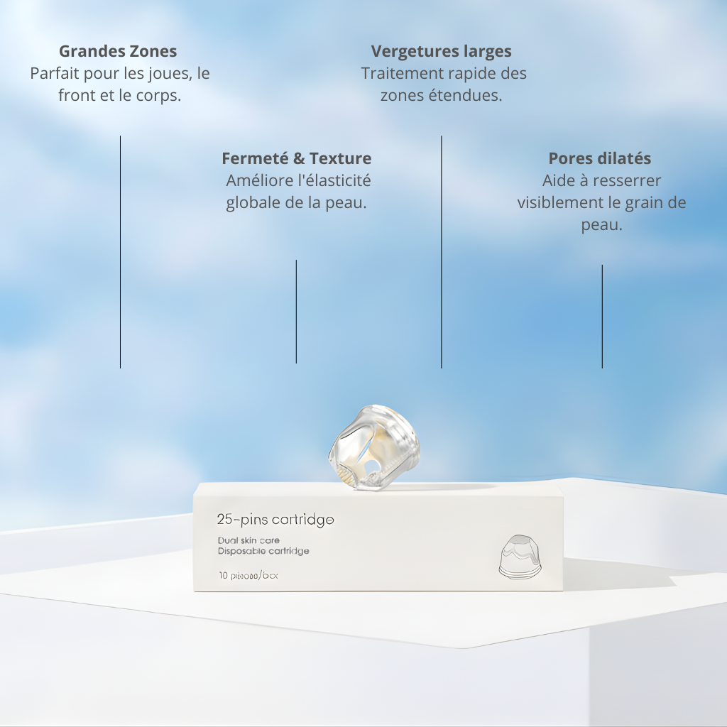 Recharge 25 aiguilles (Boîte de 10)