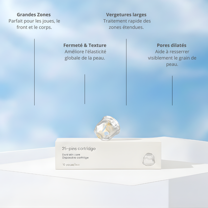 Recharge 25 aiguilles (Boîte de 10)