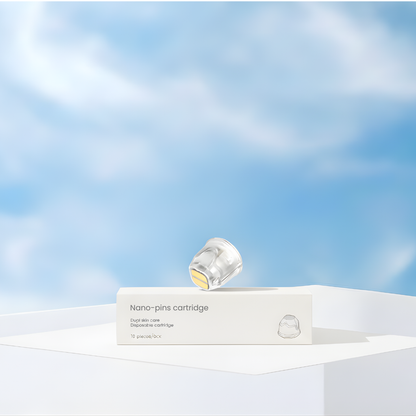 Recharge Nano aiguilles (Boîte de 10)